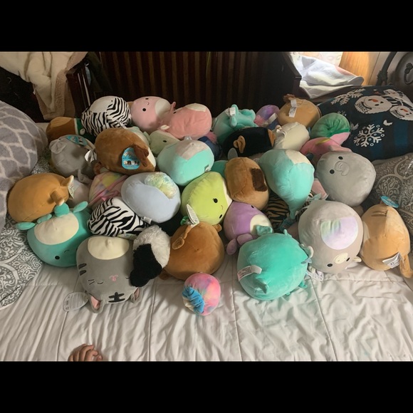 Squishmallows - Picture 1 of 16